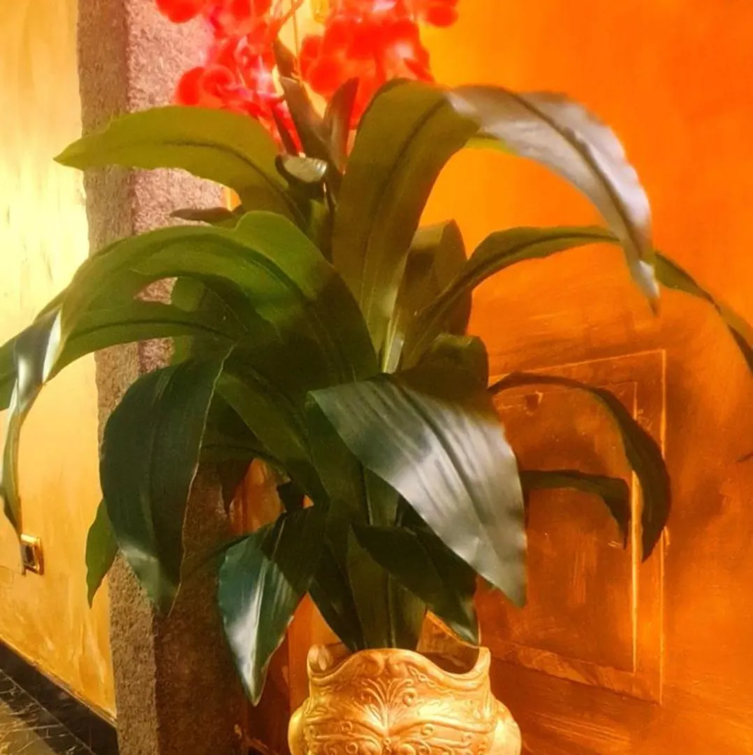 Suite Botticelli Albavilla Italy